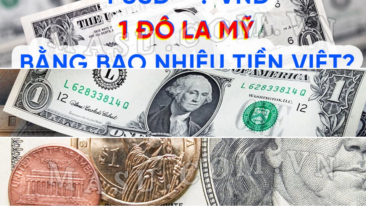 1 Đô Mỹ Bằng Bao Nhiêu Tiền Việt Năm 2026? Cập Nhật Tỷ Giá Mới Nhất