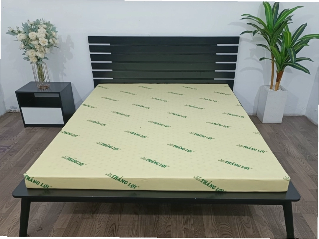 Bảng giá và kích thước nệm cao su non Thắng Lợi