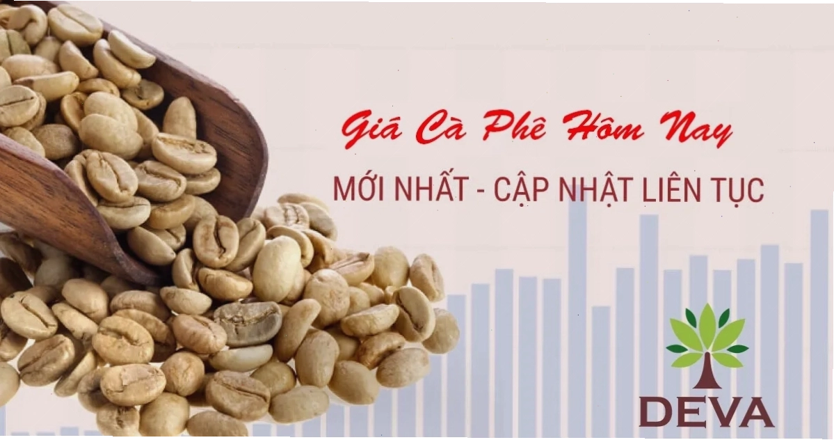 Biểu đồ giá cà phê Robusta trực tuyến theo thời gian thực