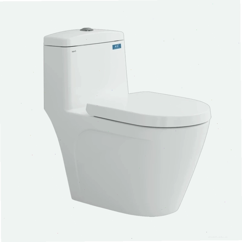 Bồn cầu 1 khối Sanfi S308 kiểu dáng hiện đại