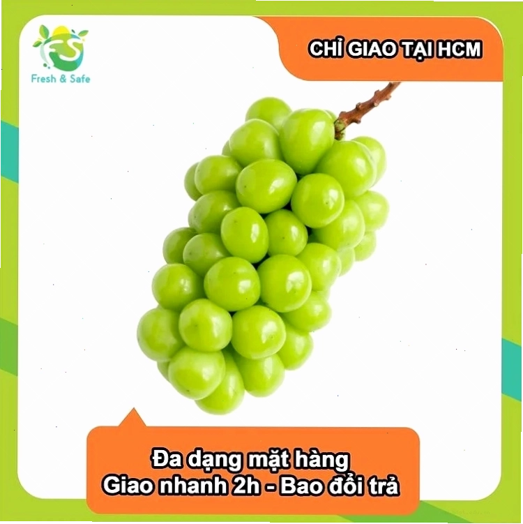 Cận cảnh chùm nho mẫu đơn chín mọng nước
