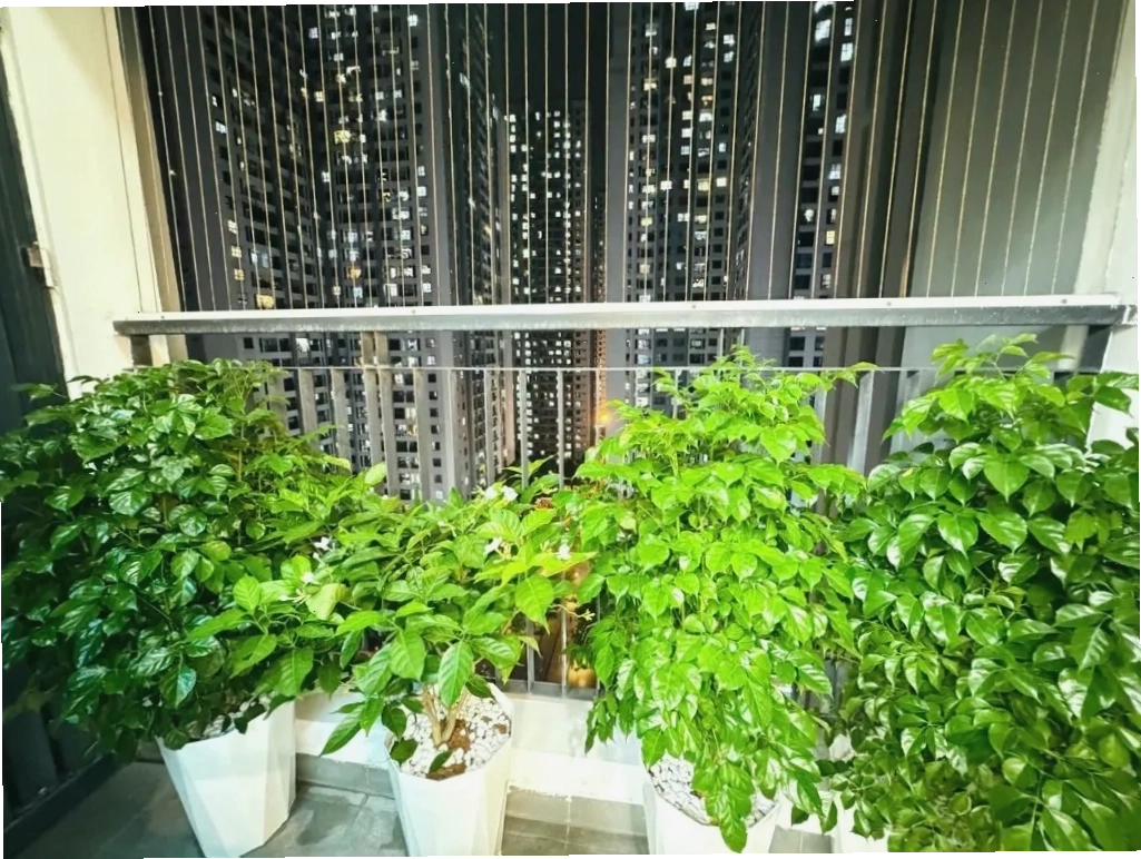 Cận cảnh mặt ngoài tòa nhà chung cư Goldmark City