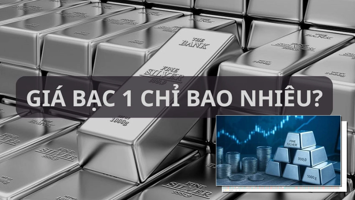 Cập nhật giá bạc thế giới hiện tại: Phân tích biến động và xu hướng năm 2026