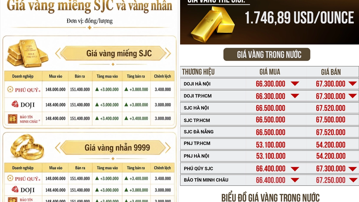Cập nhật giá vàng Phú Quý hôm nay 03/09/2026: Diễn biến và phân tích chi tiết