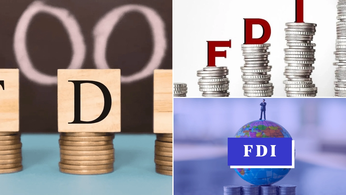 FDI là gì? Tầm quan trọng và điều kiện để trở thành doanh nghiệp FDI