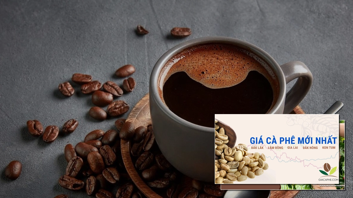 Giá cà phê ngày hôm nay 04/09/2026: Biến động và Xu hướng thị trường