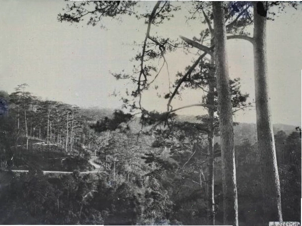 Khung cảnh nhìn từ tuyến đường Cái Quan (Quốc lộ 1) đi qua cao nguyên Di Linh, thập niên 1920