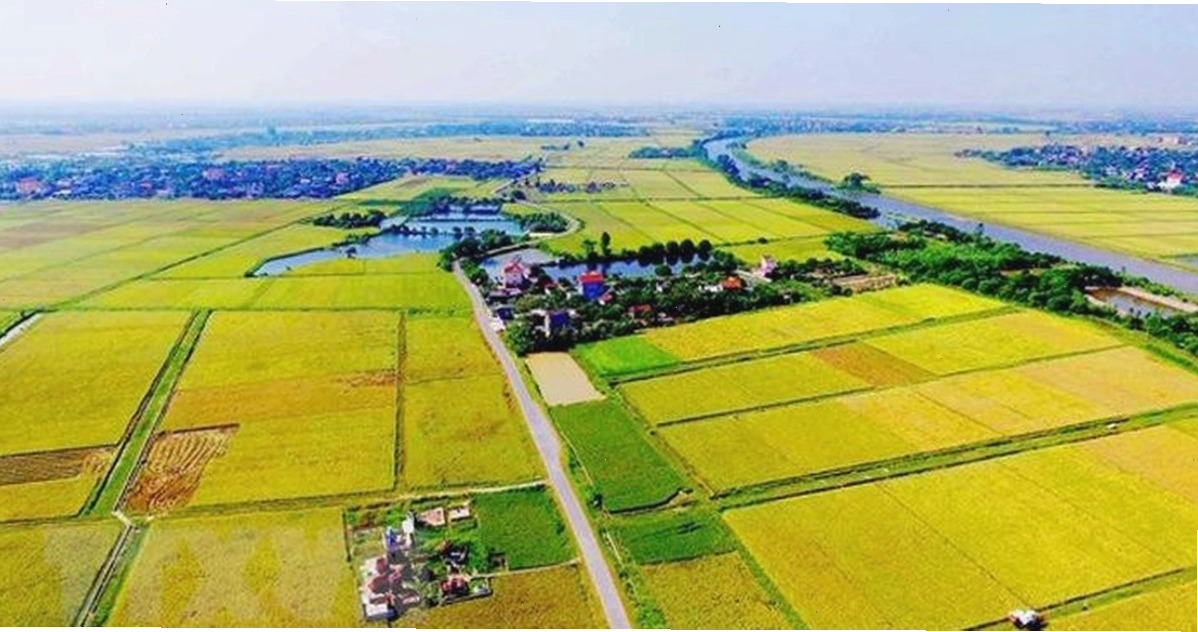 Mẫu Hợp đồng thuê đất chuẩn pháp lý năm 2026