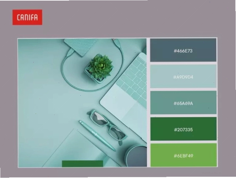 Màu xanh pastel với nhiều đặc điểm nổi bật