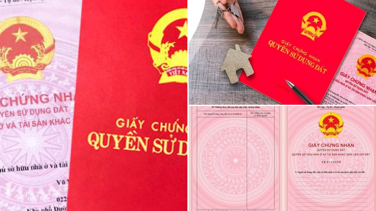 Thủ tục cấp Giấy chứng nhận quyền sử dụng đất lần đầu năm 2026: Hướng dẫn chi tiết