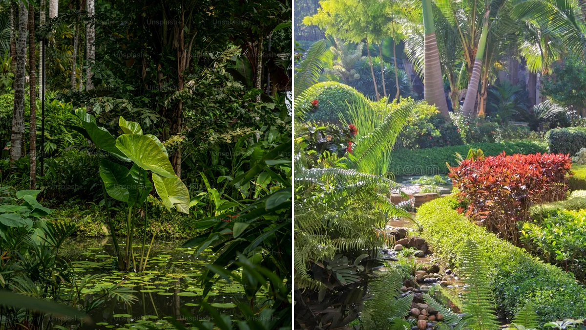 Tropic Garden Quận 2: Khu vườn xanh mát bên sông Sài Gòn